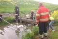 Gewonde zwaan in sloot