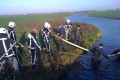 Koe in sloot 21-11-2009